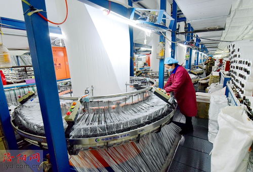 洛陽九發實業 瞄準市場需求促生產，研發環保產品穩就業